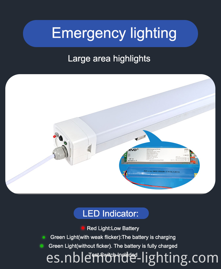 Tough LED Light